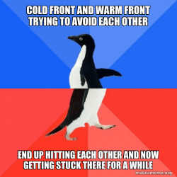 Socially Awkward Awesome Penguin