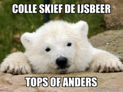 Popular Opinion Bear