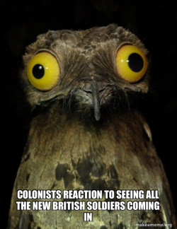 Weird Stuff I do Potoo