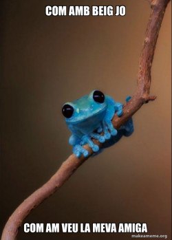 Small Fact Frog
