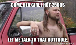 Almost Politically Correct Redneck