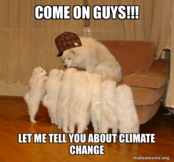 Scumbag Storytelling Dog