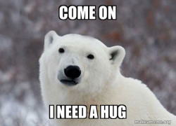 Popular Opinion Polar Bear
