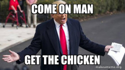 Trump - Impeachment Quid Pro Quo