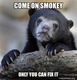 Confession Bear