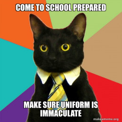Business Cat