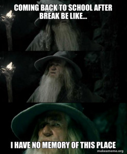 Confused Gandalf