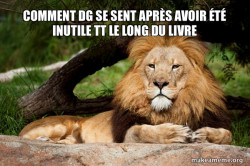 Contemplative Lion