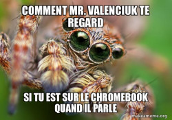Hipster Spider