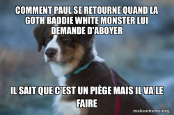 Unsure Dog