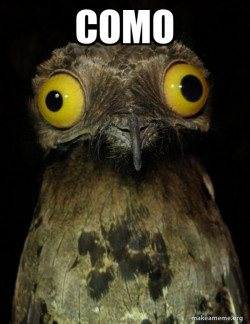Weird Stuff I do Potoo