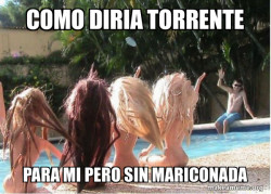 Spring Break Forever Alone