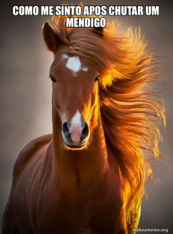 Ridiculously photogenic horse