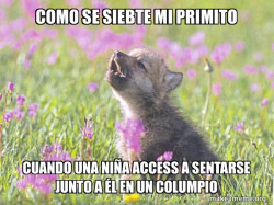 Baby Insanity Wolf
