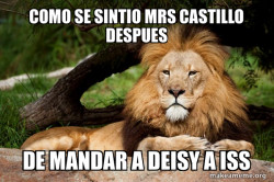 Contemplative Lion