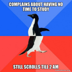 Socially Awkward Awesome Penguin