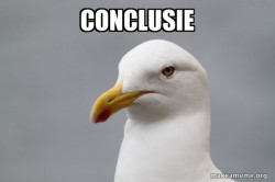 Stuff That Didn't Happen Seagull