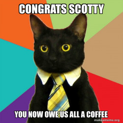 Business Cat