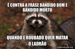 Evil Plotting Raccoon