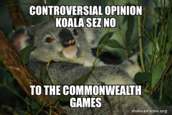 Laid Back Koala