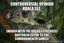 Laid Back Koala