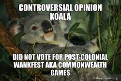 Laid Back Koala