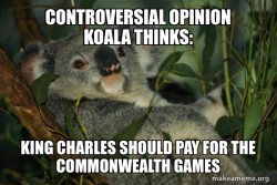 Controversial Opinion Koala