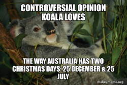 Laid Back Koala