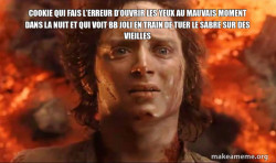Frodo it's over it's done