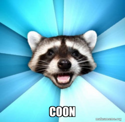 Lame Pun Coon