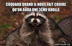 Evil Plotting Raccoon