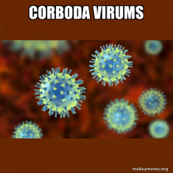 Coronavirus ( COVID-19 )