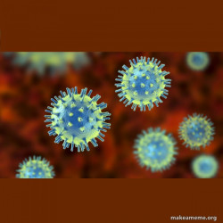 Coronavirus ( COVID-19 )