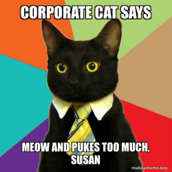 Business Cat