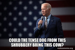 Joe Biden 2020