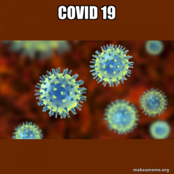Coronavirus ( COVID-19 )