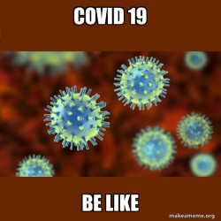 Coronavirus ( COVID-19 )