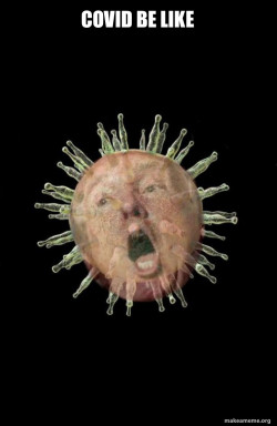 Trumpvirus TrumpPandemic
