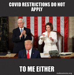 Nancy Pelosi ripping Trump's speech up