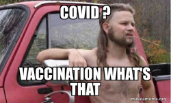 Almost Politically Correct Redneck