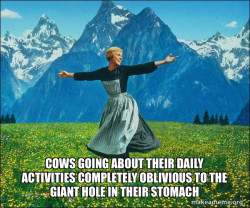 Sound of Music