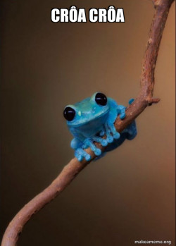 Small Fact Frog