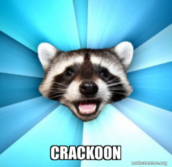 Lame Pun Coon