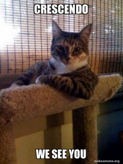The Most Interesting Cat in the World