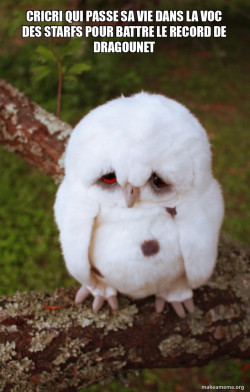 Sad Owl