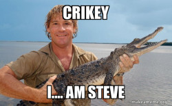Steve irwin