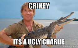 Steve irwin