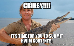 Steve irwin