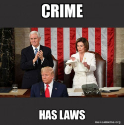 Nancy Pelosi ripping Trump's speech up