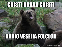 Sarcastic Bear